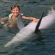 Swim with Dolphins in Orlando