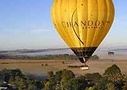 Private Yarra Valley Wine Tour including Hot Air Balloon Ride