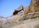Grand Canyon Air & Helicopter Tours from Las Vegas