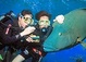 Queensland Tours, Activities & things to do