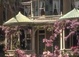 Georgia Tours & Attractions