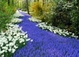Keukenhof Garden Private Transfer with Entrance Tickets