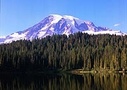 Mt Rainier Day Tour from Seattle