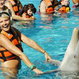 Swim with Dolphins at Riviera Maya