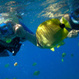 Hanauma Bay Snorkeling Adventure Tour