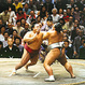 Sumo Wrestling in Tokyo