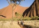 Australia Tours