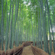 Walking in Sagano - Arashiyama