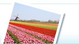 Travel tips for first time visitors to Amsterdam