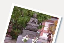 Cultural Tours in Japan