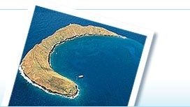 Molokini Crater in Maui, Hawaii