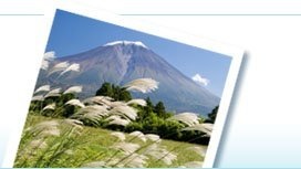 Mt Fuji Tours
