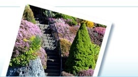 Butchart Gardens in Victoria, British Columbia