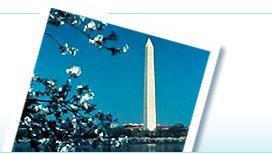 Washington DC's National Monuments