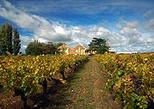 Two Day Private Coonawarra Wine Region (Limestone Coast) Tour