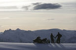 Blackcomb Mountain Safari