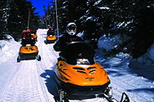 Whistler Family Snowmobile Tour