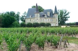 small group bordeaux and st emilion tour in bordeaux 48969 World Tours 1