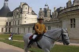 Castles and Wines of the Loire Valley by Minivan