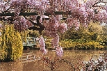 Giverny and Monet's Home