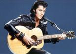 Las Vegas Elvis Wedding: Can't Help Falling in Love