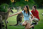 Best of Brisbane Full-Day Sightseeing Tour