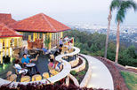 Brisbane Afternoon City Tour including Lone Pine Koala Sanctuary and Mt Coot-tha