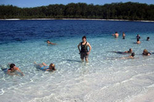 Fraser Island 4WD Eco Day Trip