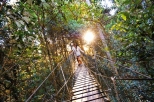 O'Reilly's Lamington National Park, Tree Top Canopy Walk and Wine Tasting Tour