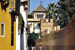 Seville Day Trip from the Costa del Sol