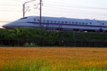 3-Day Mt Fuji, Kyoto and Nara Rail Tour by Bullet Train from Tokyo
