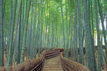 Arashiyama and Sagano Morning Walking Tour