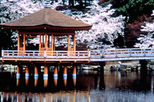 Kyoto and Nara Day Tour including Golden Pavilion and Todaiji Temple from Osaka