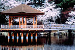 Kyoto and Nara Day Tour including Golden Pavilion and Todaiji Temple from Osaka
