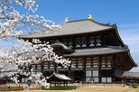 Kyoto and Nara Day Trip from Kyoto including Nijo Castle