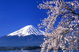Mt Fuji and Hakone Day Tour from Tokyo: Return By Motorcoach