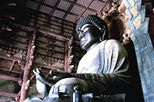 Nara Afternoon Tour (From Osaka) - Todaiji, Deer Park, Kasuga Shrine