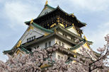 Osaka One Day Walking Tour including lunch and Osaka River Cruise