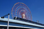 Panoramic Tokyo Day Tour - Meiji Shrine, Asakusa Temple and Tokyo Bay Cruise