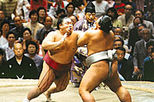 Sunrise Sumo Wrestling Tour - Tokyo Tournament