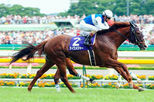 Tokyo Fuchu Racecourse Tour with Reserved Seating