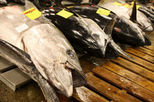 Tokyo Full Day Walking Tour including Tsukiji Fish Market