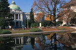 Tokyo Historic Afternoon Walking Tour of Ueno and Yanaka