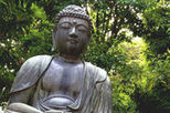 Tokyo Morning Tour: Meiji Shrine, Senso-ji Temple and Ginza Shopping District