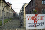 Auschwitz-Birkenau Museum Half-Day Trip from Krakow