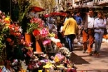 Private Full Day Barcelona City Sightseeing Tour