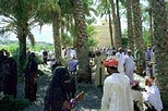 Day Tour to the Enchanting Forts of Nizwa