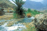 Private 4x4 Safari Mountain Fascination Eastern Hajar Mountains