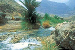 private 4x4 safari mountain fascination eastern hajar mountains in muscat 18264 World Tours 26