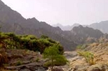 private 4x4 wadi safari an encounter with nature in muscat 18251 World Tours 26